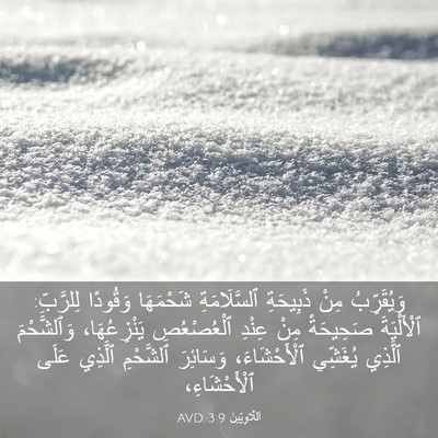 Picture 03 - اَللَّاوِيِّينَ 3:9 AVD - وَيُقَرِّبُ مِنْ - Bible Verse Picture