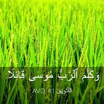 Picture 03 - اَللَّاوِيِّينَ 4:1 AVD - وَكَلَّمَ ٱلرَّبُّ مُوسَى - Bible Verse Picture