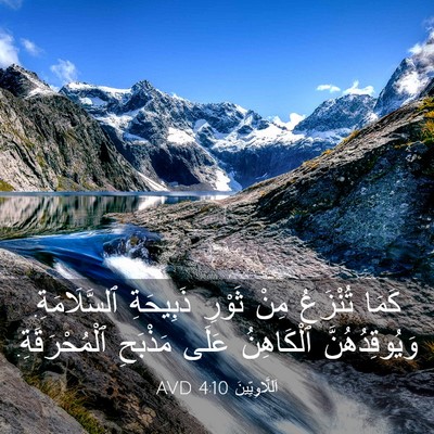 Picture 03 - اَللَّاوِيِّينَ 4:10 AVD - كَمَا تُنْزَعُ مِنْ ثَوْرِ - Bible Verse Picture