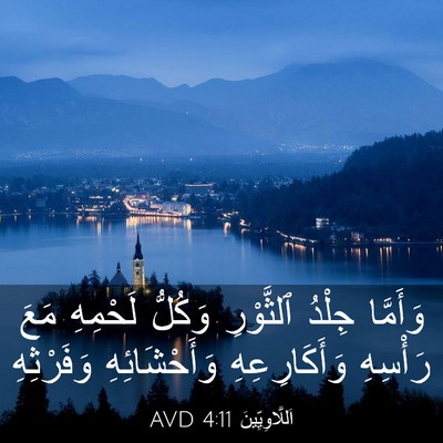Picture 03 - اَللَّاوِيِّينَ 4:11 AVD - وَأَمَّا جِلْدُ ٱلثَّوْرِ - Bible Verse Picture