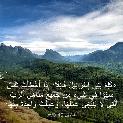 Picture 03 - اَللَّاوِيِّينَ 4:2 AVD - «كَلِّمْ بَنِي - Bible Verse Picture