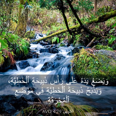 Picture 03 - اَللَّاوِيِّينَ 4:29 AVD - وَيَضَعُ يَدَهُ عَلَى - Bible Verse Picture