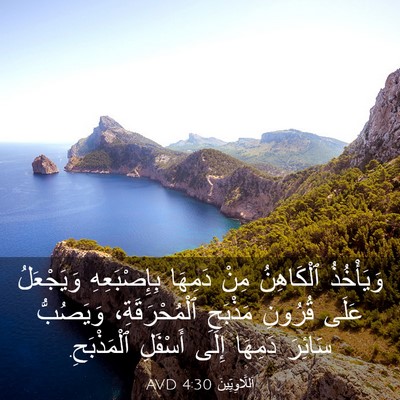 Picture 03 - اَللَّاوِيِّينَ 4:30 AVD - وَيَأْخُذُ ٱلْكَاهِنُ - Bible Verse Picture