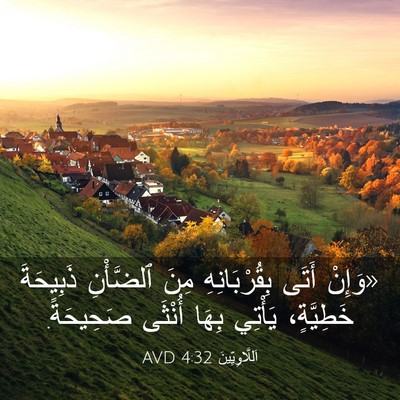 Picture 03 - اَللَّاوِيِّينَ 4:32 AVD - «وَإِنْ أَتَى - Bible Verse Picture