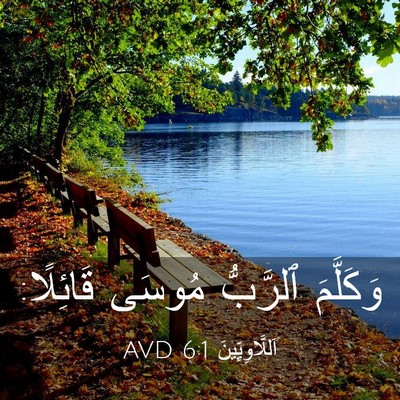 Picture 03 - اَللَّاوِيِّينَ 6:1 AVD - وَكَلَّمَ ٱلرَّبُّ مُوسَى - Bible Verse Picture