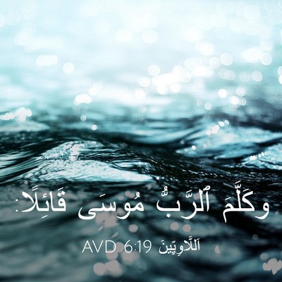 Picture 03 - اَللَّاوِيِّينَ 6:19 AVD - وكَلَّمَ ٱلرَّبُّ مُوسَى - Bible Verse Picture