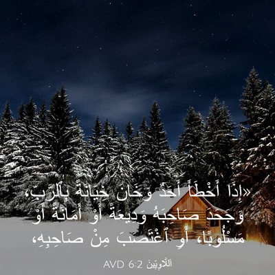 Picture 03 - اَللَّاوِيِّينَ 6:2 AVD - «إِذَا أَخْطَأَ أَحَدٌ - Bible Verse Picture