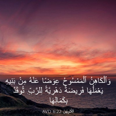 Picture 03 - اَللَّاوِيِّينَ 6:22 AVD - وَٱلْكَاهِنُ ٱلْمَمْسُوحُ - Bible Verse Picture