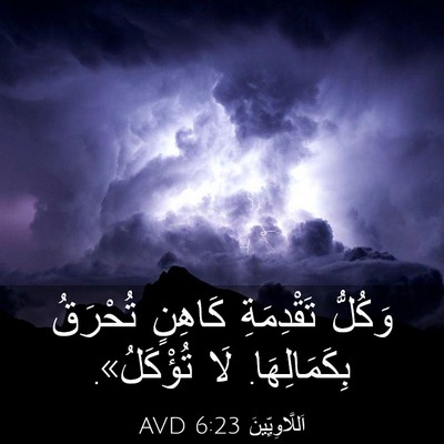 Picture 03 - اَللَّاوِيِّينَ 6:23 AVD - وَكُلُّ تَقْدِمَةِ - Bible Verse Picture