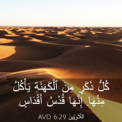 Picture 03 - اَللَّاوِيِّينَ 6:29 AVD - كُلُّ ذَكَرٍ مِنَ - Bible Verse Picture