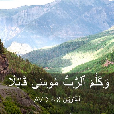 Picture 03 - اَللَّاوِيِّينَ 6:8 AVD - وَكَلَّمَ ٱلرَّبُّ مُوسَى - Bible Verse Picture