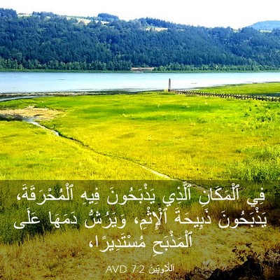 Picture 03 - اَللَّاوِيِّينَ 7:2 AVD - فِي ٱلْمَكَانِ ٱلَّذِي - Bible Verse Picture