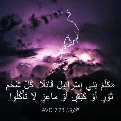 Picture 03 - اَللَّاوِيِّينَ 7:23 AVD - «كَلِّمْ بَنِي - Bible Verse Picture