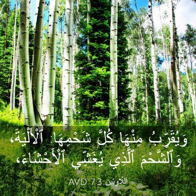 Picture 03 - اَللَّاوِيِّينَ 7:3 AVD - وَيُقَرِّبُ مِنْهَا كُلَّ - Bible Verse Picture