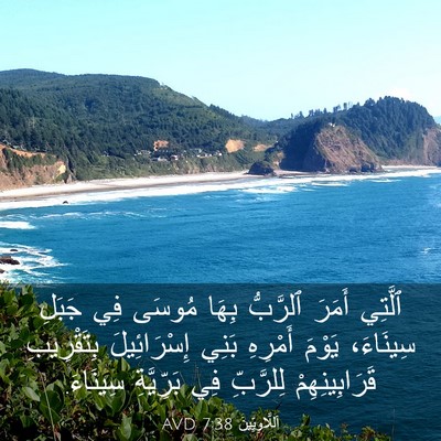 Picture 03 - اَللَّاوِيِّينَ 7:38 AVD - ٱلَّتِي أَمَرَ ٱلرَّبُّ - Bible Verse Picture
