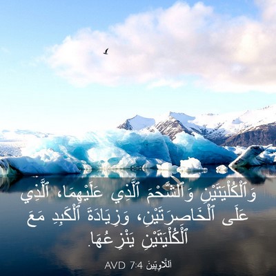 Picture 03 - اَللَّاوِيِّينَ 7:4 AVD - وَٱلْكُلْيَتَيْنِ - Bible Verse Picture