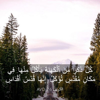 Picture 03 - اَللَّاوِيِّينَ 7:6 AVD - كُلُّ ذَكَرٍ مِنَ - Bible Verse Picture