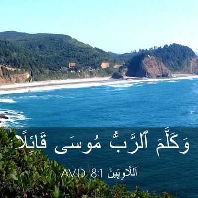 Picture 03 - اَللَّاوِيِّينَ 8:1 AVD - وَكَلَّمَ ٱلرَّبُّ مُوسَى - Bible Verse Picture