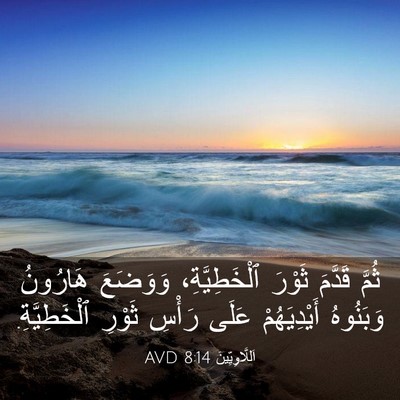 Picture 03 - اَللَّاوِيِّينَ 8:14 AVD - ثُمَّ قَدَّمَ ثَوْرَ - Bible Verse Picture