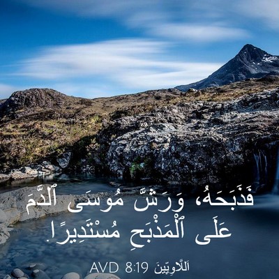 Picture 03 - اَللَّاوِيِّينَ 8:19 AVD - فَذَبَحَهُ، وَرَشَّ - Bible Verse Picture