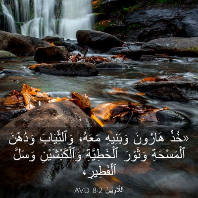 Picture 03 - اَللَّاوِيِّينَ 8:2 AVD - «خُذْ هَارُونَ وَبَنِيهِ - Bible Verse Picture