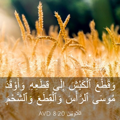 Picture 03 - اَللَّاوِيِّينَ 8:20 AVD - وَقَطَّعَ ٱلْكَبْشَ إِلَى - Bible Verse Picture