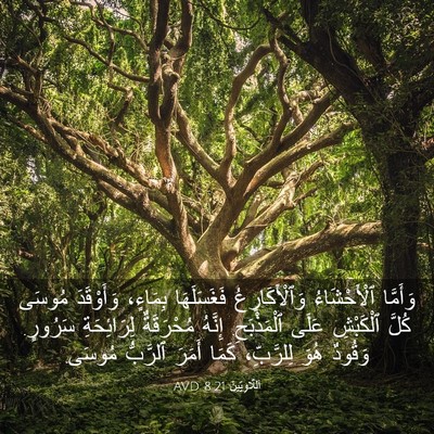 Picture 03 - اَللَّاوِيِّينَ 8:21 AVD - وَأَمَّا ٱلْأَحْشَاءُ - Bible Verse Picture