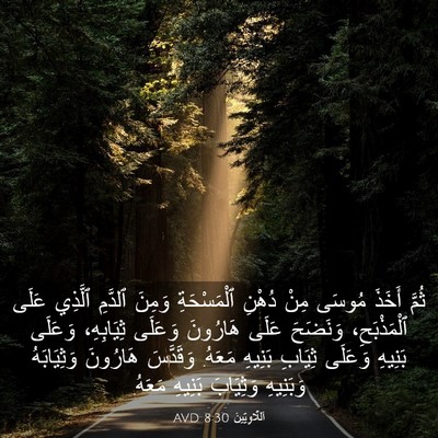 Picture 03 - اَللَّاوِيِّينَ 8:30 AVD - ثُمَّ أَخَذَ مُوسَى مِنْ - Bible Verse Picture
