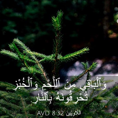 Picture 03 - اَللَّاوِيِّينَ 8:32 AVD - وَٱلْبَاقِي مِنَ - Bible Verse Picture