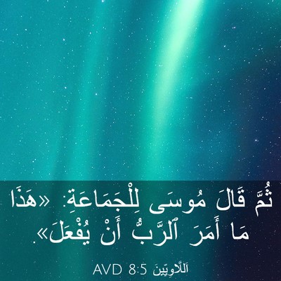 Picture 03 - اَللَّاوِيِّينَ 8:5 AVD - ثُمَّ قَالَ مُوسَى - Bible Verse Picture
