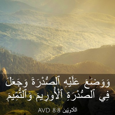 Picture 03 - اَللَّاوِيِّينَ 8:8 AVD - وَوَضَعَ عَلَيْهِ - Bible Verse Picture