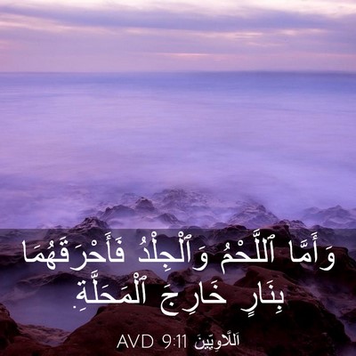 Picture 03 - اَللَّاوِيِّينَ 9:11 AVD - وَأَمَّا ٱللَّحْمُ - Bible Verse Picture