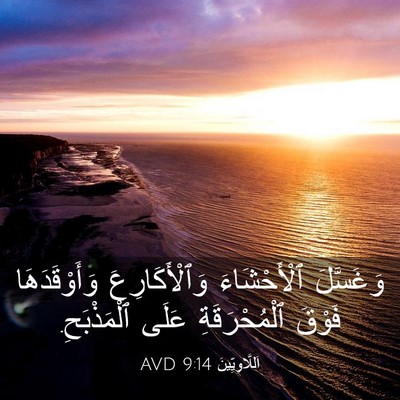 Picture 03 - اَللَّاوِيِّينَ 9:14 AVD - وَغَسَّلَ ٱلْأَحْشَاءَ - Bible Verse Picture