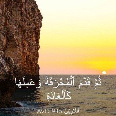 Picture 03 - اَللَّاوِيِّينَ 9:16 AVD - ثُمَّ قَدَّمَ - Bible Verse Picture