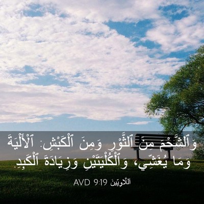 Picture 03 - اَللَّاوِيِّينَ 9:19 AVD - وَٱلشَّحْمَ مِنَ - Bible Verse Picture