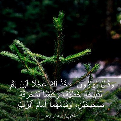 Picture 03 - اَللَّاوِيِّينَ 9:2 AVD - وَقَالَ لِهَارُونَ: «خُذْ - Bible Verse Picture