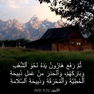 Picture 03 - اَللَّاوِيِّينَ 9:22 AVD - ثُمَّ رَفَعَ هَارُونُ - Bible Verse Picture