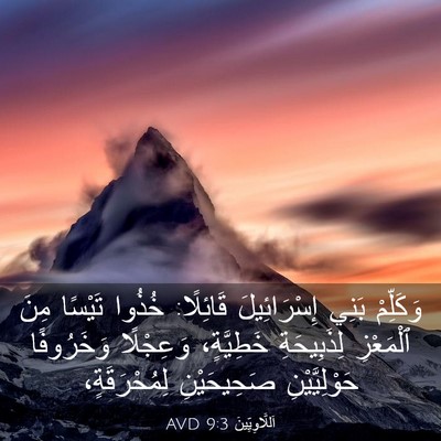 Picture 03 - اَللَّاوِيِّينَ 9:3 AVD - وَكَلِّمْ بَنِي - Bible Verse Picture