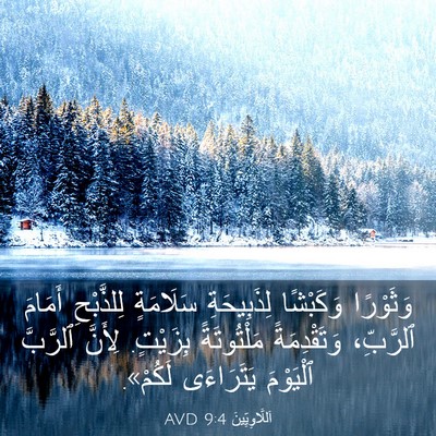 Picture 03 - اَللَّاوِيِّينَ 9:4 AVD - وَثَوْرًا وَكَبْشًا - Bible Verse Picture