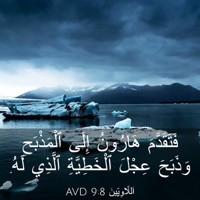Picture 03 - اَللَّاوِيِّينَ 9:8 AVD - فَتَقَدَّمَ هَارُونُ - Bible Verse Picture