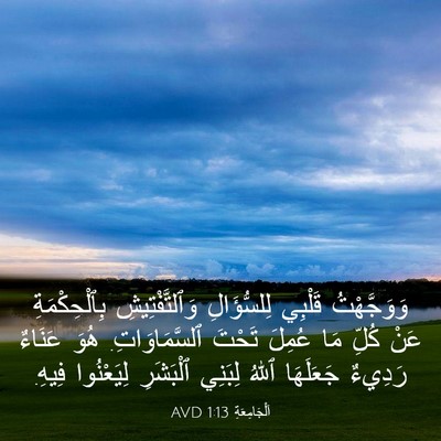 Picture 03 - اَلْجَامِعَةِ 1:13 AVD - وَوَجَّهْتُ قَلْبِي - Bible Verse Picture