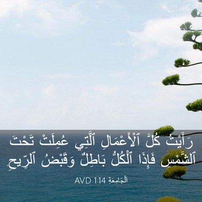 Picture 03 - اَلْجَامِعَةِ 1:14 AVD - رَأَيْتُ كُلَّ - Bible Verse Picture