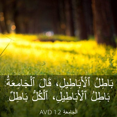 Picture 03 - اَلْجَامِعَةِ 1:2 AVD - بَاطِلُ ٱلْأَبَاطِيلِ، - Bible Verse Picture