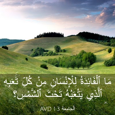 Picture 03 - اَلْجَامِعَةِ 1:3 AVD - مَا ٱلْفَائِدَةُ - Bible Verse Picture