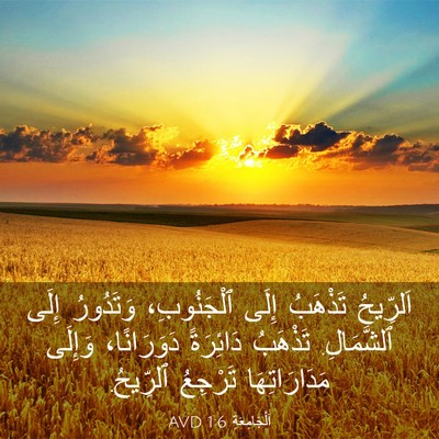 Picture 03 - اَلْجَامِعَةِ 1:6 AVD - اَلرِّيحُ تَذْهَبُ إِلَى - Bible Verse Picture