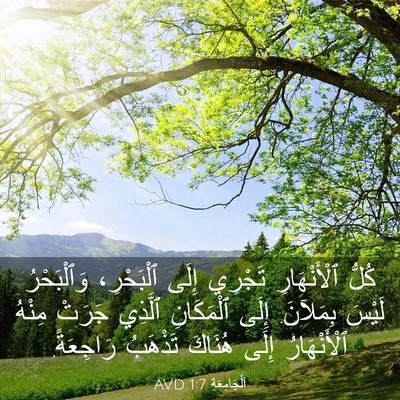 Picture 03 - اَلْجَامِعَةِ 1:7 AVD - كُلُّ ٱلْأَنْهَارِ - Bible Verse Picture