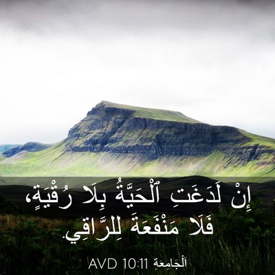 Picture 03 - اَلْجَامِعَةِ 10:11 AVD - إِنْ لَدَغَتِ ٱلْحَيَّةُ - Bible Verse Picture