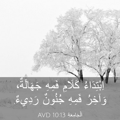 Picture 03 - اَلْجَامِعَةِ 10:13 AVD - اِبْتِدَاءُ كَلَامِ - Bible Verse Picture