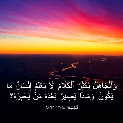 Picture 03 - اَلْجَامِعَةِ 10:14 AVD - وَٱلْجَاهِلُ يُكَثِّرُ - Bible Verse Picture