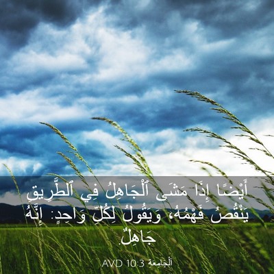 Picture 03 - اَلْجَامِعَةِ 10:3 AVD - أَيْضًا إِذَا مَشَى - Bible Verse Picture
